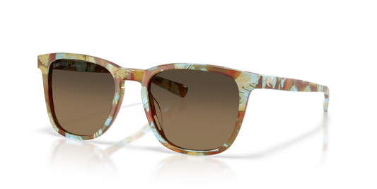 Ocean Tortoise +  Lens